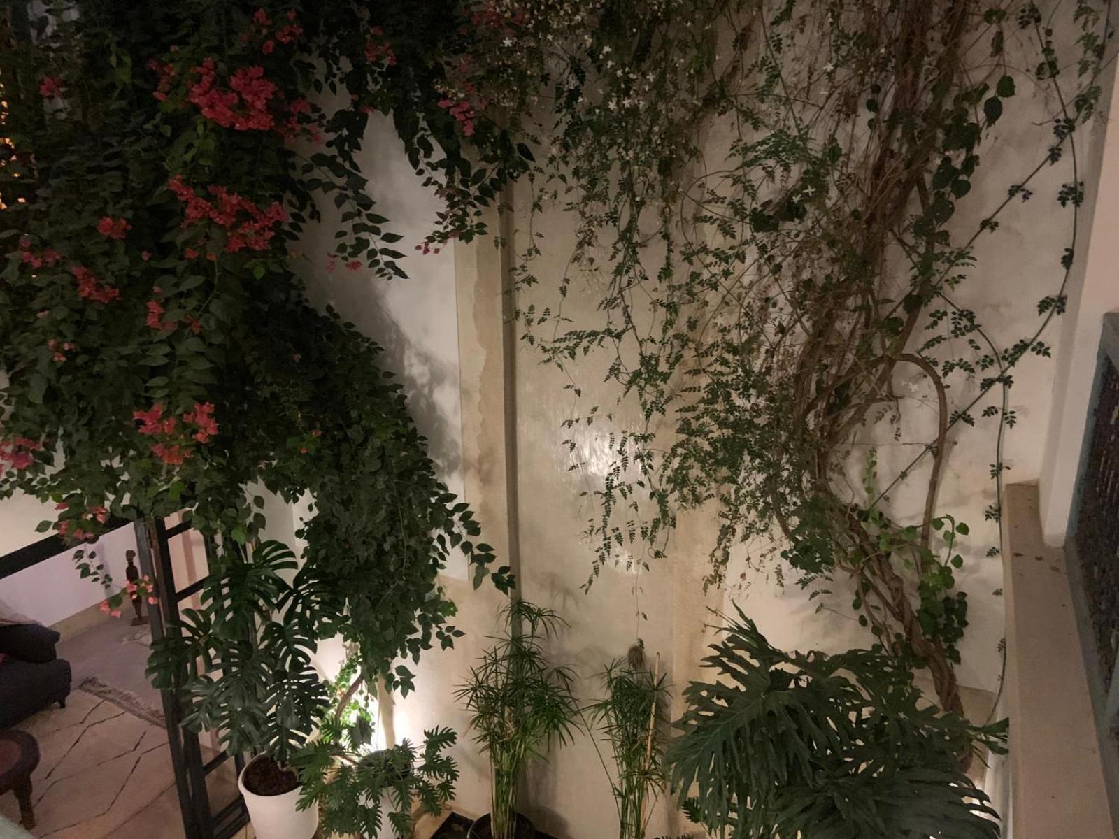 Hotel Le Petit Pacha à Marrakesh Extérieur photo